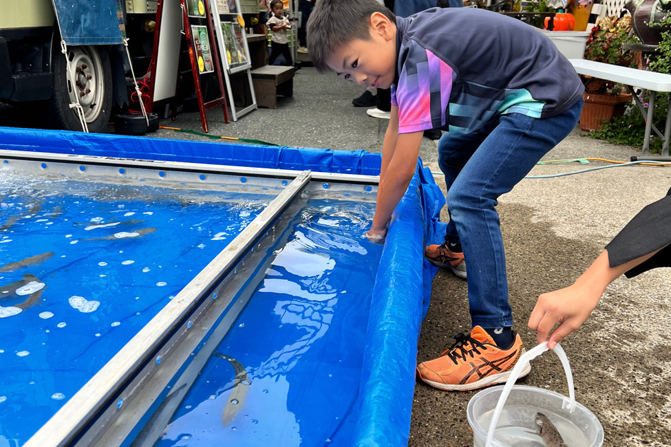 つかみどりの風景