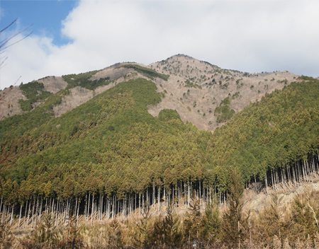 冬を待つ毛無山