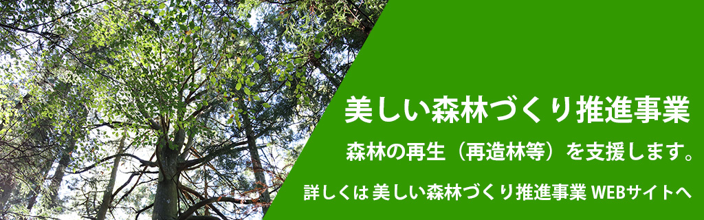 美しい森林づくり推進事業